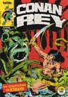 Cover for Conan Rey (Planeta DeAgostini, 1984 series) #16