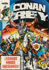 Cover for Conan Rey (Planeta DeAgostini, 1984 series) #17