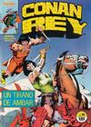 Cover for Conan Rey (Planeta DeAgostini, 1984 series) #19