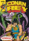 Cover for Conan Rey (Planeta DeAgostini, 1984 series) #24