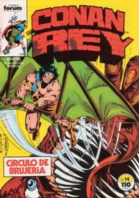 Cover Thumbnail for Conan Rey (Planeta DeAgostini, 1984 series) #14