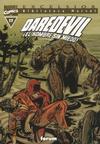 Cover for Biblioteca Marvel: Daredevil (Planeta DeAgostini, 2001 series) #17