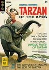 Cover for Edgar Rice Burroughs' Tarzan of the Apes (Western, 1962 series) #169