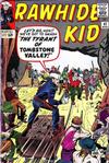 Cover for The Rawhide Kid (Marvel, 1960 series) #41