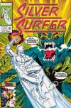 Cover for Silver Surfer (Play Press, 1989 series) #22/23