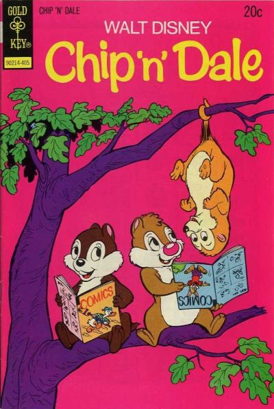 Cover for Walt Disney Chip 'n' Dale (Western, 1967 series) #27