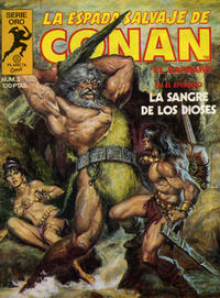 Cover Thumbnail for La Espada Salvaje de Conan (Planeta DeAgostini, 1982 series) #3