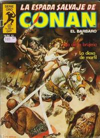Cover for La Espada Salvaje de Conan (Planeta DeAgostini, 1982 series) #10