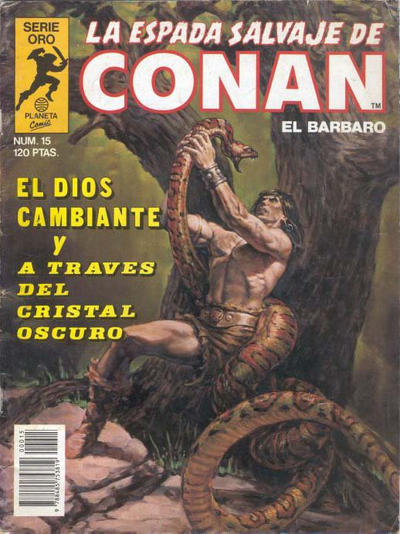 Cover for La Espada Salvaje de Conan (Planeta DeAgostini, 1982 series) #15