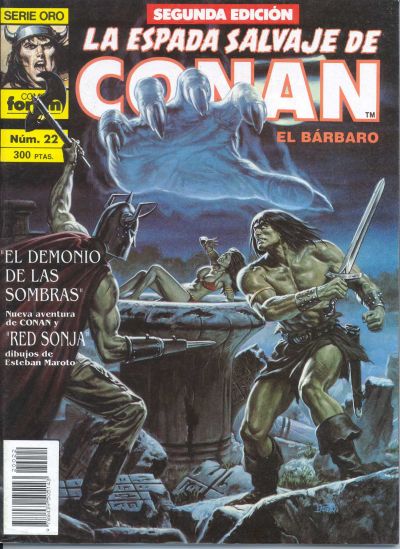 Cover for La Espada Salvaje de Conan (Planeta DeAgostini, 1982 series) #22