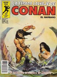 Cover Thumbnail for La Espada Salvaje de Conan (Planeta DeAgostini, 1982 series) #38