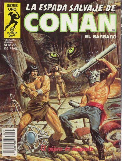 Cover for La Espada Salvaje de Conan (Planeta DeAgostini, 1982 series) #35