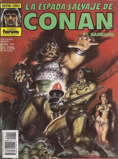 Cover for La Espada Salvaje de Conan (Planeta DeAgostini, 1982 series) #111