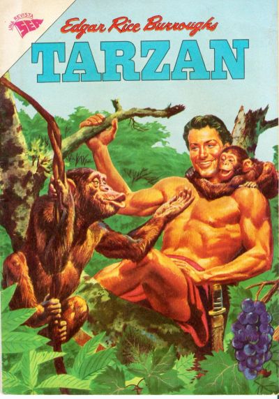 Cover for Tarzán (Editorial Novaro, 1951 series) #140