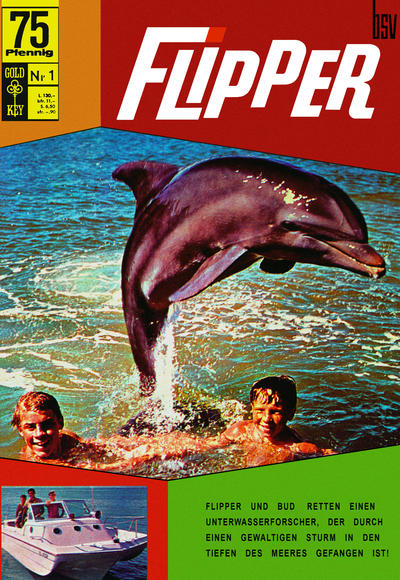 Cover for Flipper (BSV - Williams, 1969 series) #1