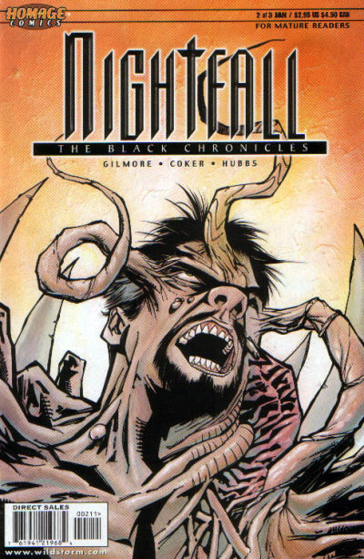 Cover for Nightfall: The Black Chronicles (DC, 1999 series) #2