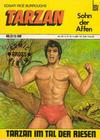 Cover for Tarzan (BSV - Williams, 1969 series) #12