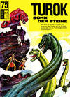 Cover for Turok (BSV - Williams, 1967 series) #9