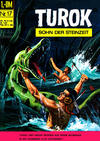 Cover for Turok (BSV - Williams, 1967 series) #17