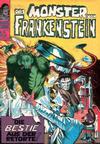 Cover for Das Monster von Frankenstein (BSV - Williams, 1974 series) #15