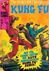 Cover for Die tödlichen Hände des Kung Fu (BSV - Williams, 1976 series) #5