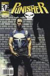 Cover for Marvel Knights: Punisher (Planeta DeAgostini, 2001 series) #11