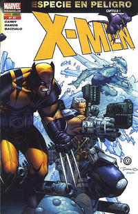Cover Thumbnail for X-Men (Panini España, 2006 series) #27