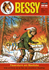 Cover for Bessy (Bastei Verlag, 1965 series) #213