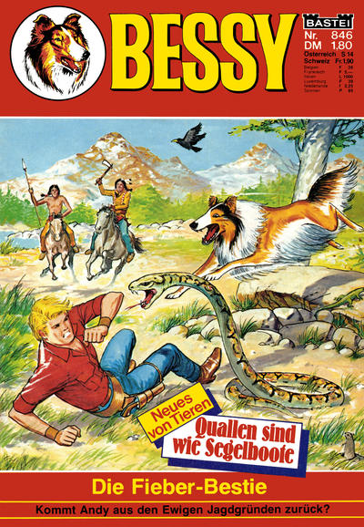 Cover for Bessy (Bastei Verlag, 1965 series) #846