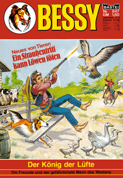 Cover for Bessy (Bastei Verlag, 1965 series) #847
