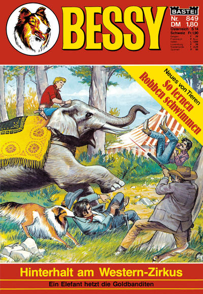 Cover for Bessy (Bastei Verlag, 1965 series) #849