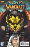 Cover for World of Warcraft (DC, 2008 series) #17