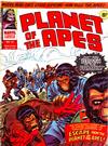 Cover for Planet of the Apes (Marvel UK, 1974 series) #53