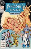 Cover for Forgotten Realms Comic Book (DC, 1989 series) #17 [Direct]