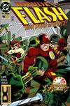 Cover for Flash (DC, 1987 series) #95 [DC Universe Corner Box]