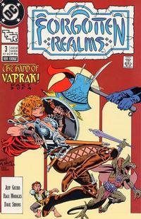 Cover Thumbnail for Forgotten Realms Comic Book (DC, 1989 series) #3 [Direct]