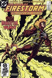 Cover Thumbnail for The Fury of Firestorm (DC, 1982 series) #33 [Direct]
