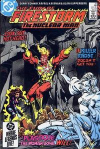 Cover for The Fury of Firestorm (DC, 1982 series) #35 [Direct]