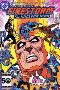Cover Thumbnail for The Fury of Firestorm (DC, 1982 series) #45 [Direct]