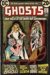Cover Thumbnail for Ghosts (DC, 1971 series) #14