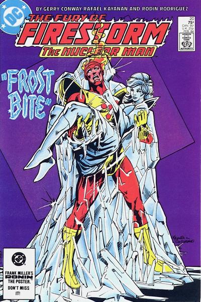 Cover for The Fury of Firestorm (DC, 1982 series) #20 [Direct]