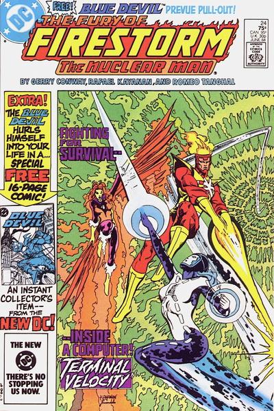 Cover for The Fury of Firestorm (DC, 1982 series) #24 [Direct]