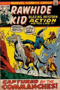 Cover Thumbnail for The Rawhide Kid (Marvel, 1960 series) #114