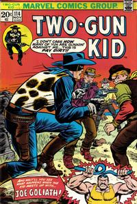 Cover Thumbnail for Two Gun Kid (Marvel, 1953 series) #114
