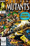 Cover Thumbnail for The New Mutants (1983 series) #81 [Direct]