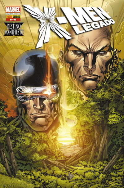 Cover for X-Men (Panini España, 2006 series) #41