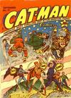 Cover for Cat-Man Comics (Temerson / Helnit / Continental, 1941 series) #v2#6 (19)