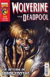 Cover for Wolverine and Deadpool (Panini UK, 2004 series) #125