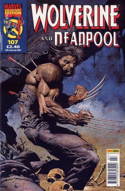 Cover for Wolverine and Deadpool (Panini UK, 2004 series) #107