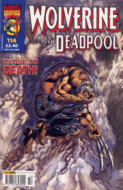 Cover for Wolverine and Deadpool (Panini UK, 2004 series) #114